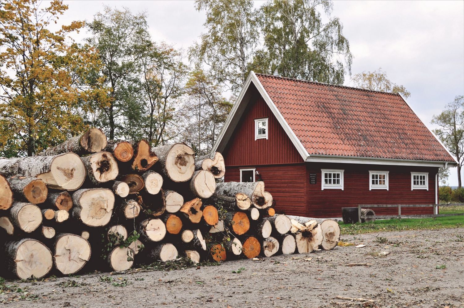 Dlaczego warto wybudować dom drewniany?