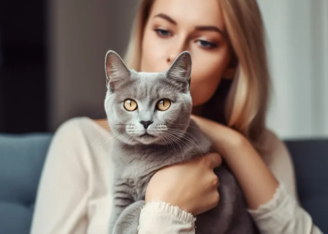 Tierkrematorium Berlin