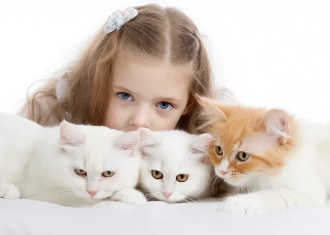 Tierkrematorium Berlin Marzahn