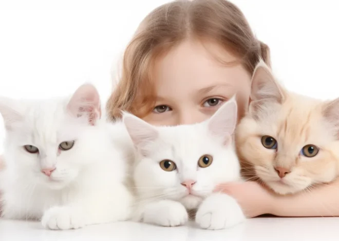 Krematorium Tiere Branderburg