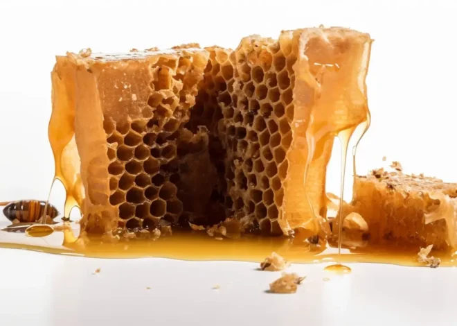 Miód nektarowo-spadziowy pomocny w jakich schorzeniach?