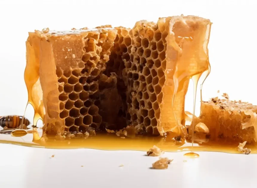 Miód nektarowo-spadziowy pomocny w jakich schorzeniach?