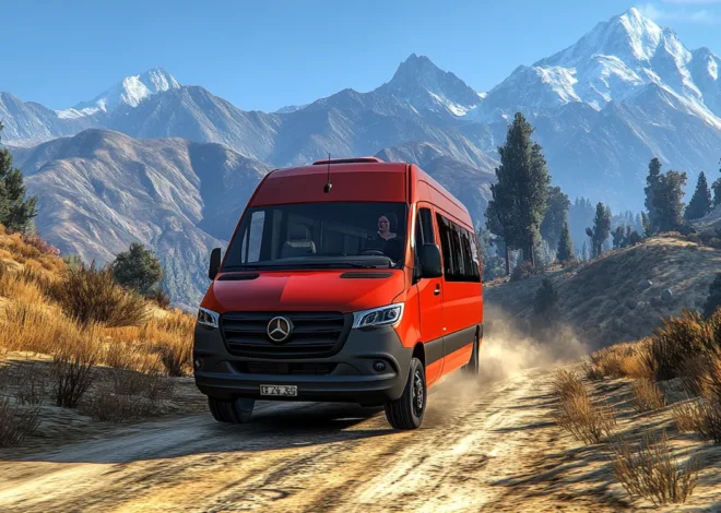 Busy do Niemiec z adresu pod adres Toruń