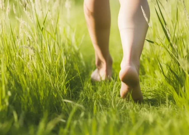 Czym zajmuje się podolog?