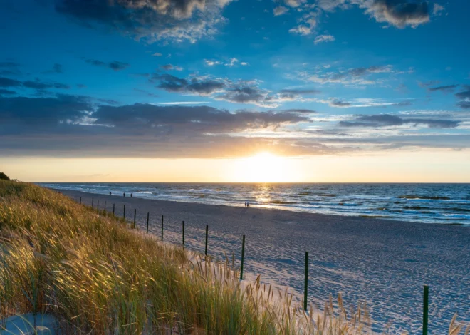 Ile czasu ukorzenia sie trawa z rolki?