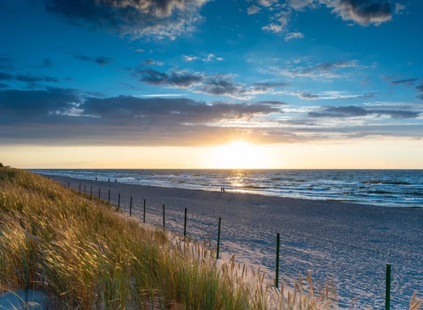 Ile czasu ukorzenia sie trawa z rolki?