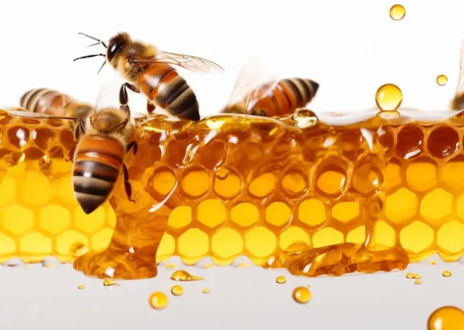 Kolor miodu rzepakowego